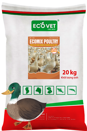 Ecomix Poultry- Thức ăn bổ sung vitamin và khoáng cho gia cầm